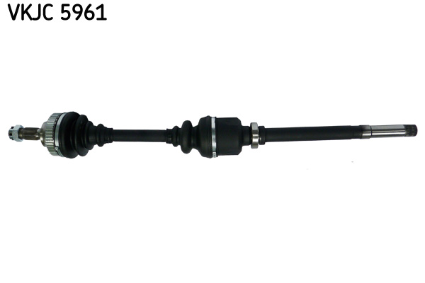 Planetara VKJC 5961 SKF
